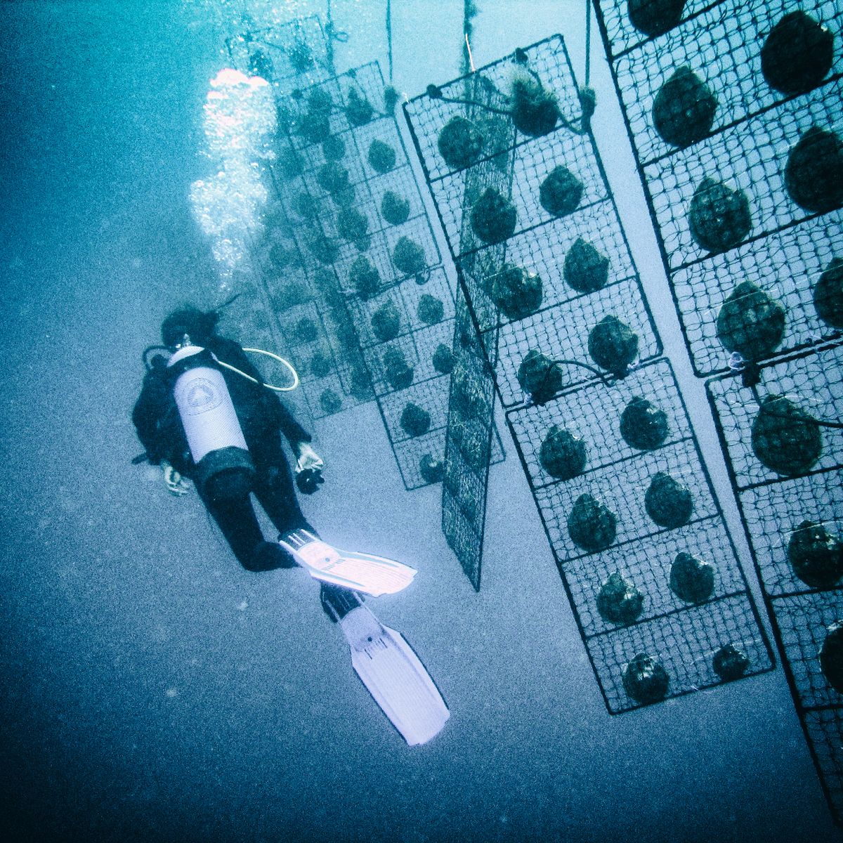 Sustainable Aquaculture and Fish Farming Facility
